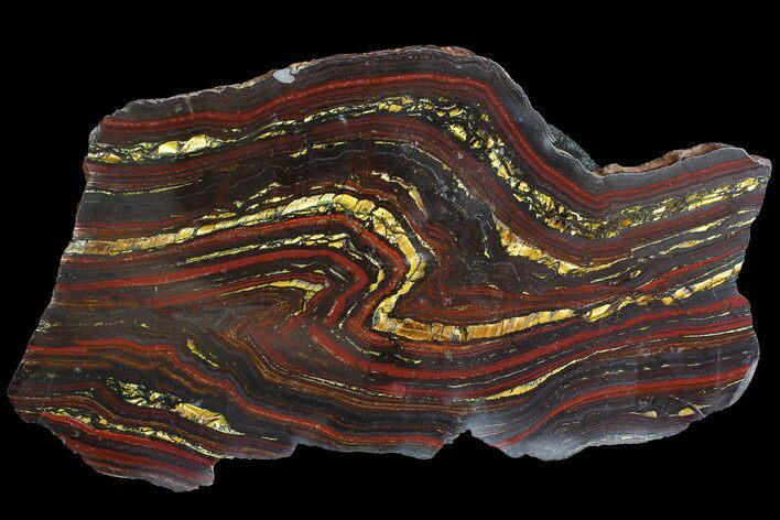 Polished Tiger Iron Stromatolite - ( Billion Years) #92966